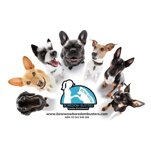Bow-Wow Boredom Busters - Pet Services, Dog, Enrichment