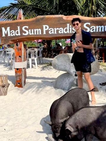 Young man standing on beach near pigs and wooden sign.