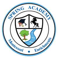 Spring Academy