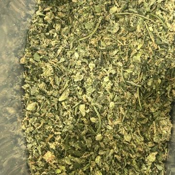 Close-up of dried green herbs or plant material.