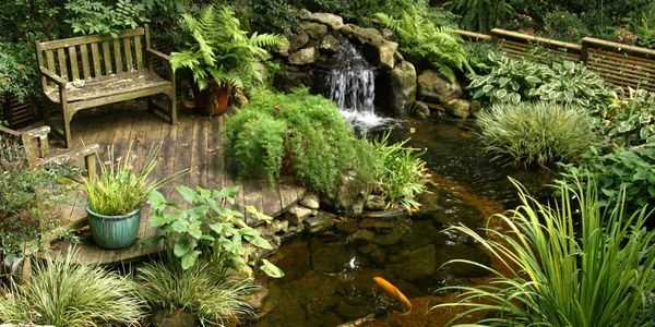 A serene garden pond with a waterfall, lush plants, and a wooden bench.