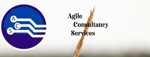 Agile Consultancy Services