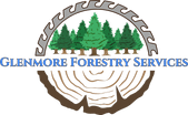 Glenmore Forestry Services