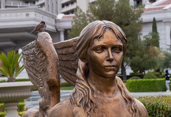 Angel Statue with a sparrow resting. "his eye is on the sparrow"