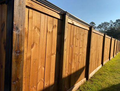 Fence Staining and Sealing in Gainesville, FL