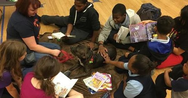 Group of kids reading to dogs