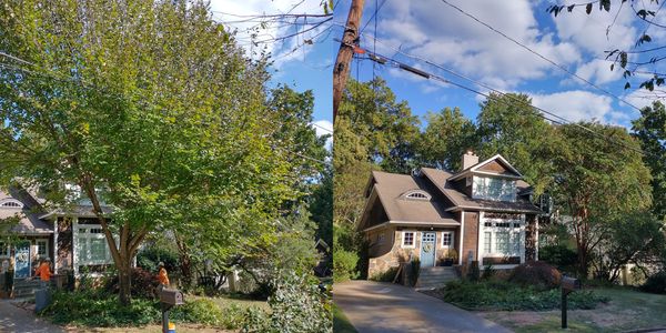 Before and after #19