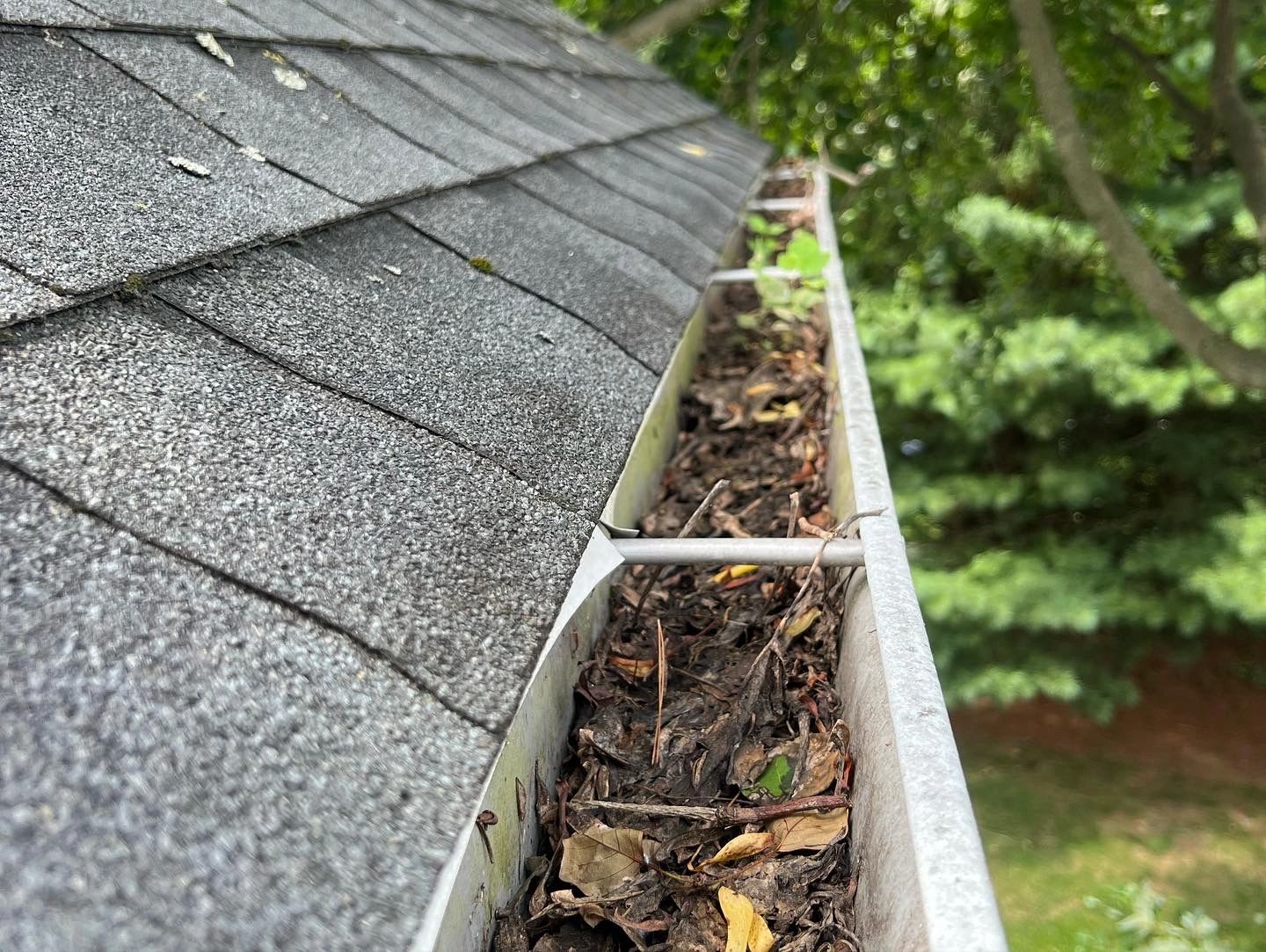 Gutter Cleaning