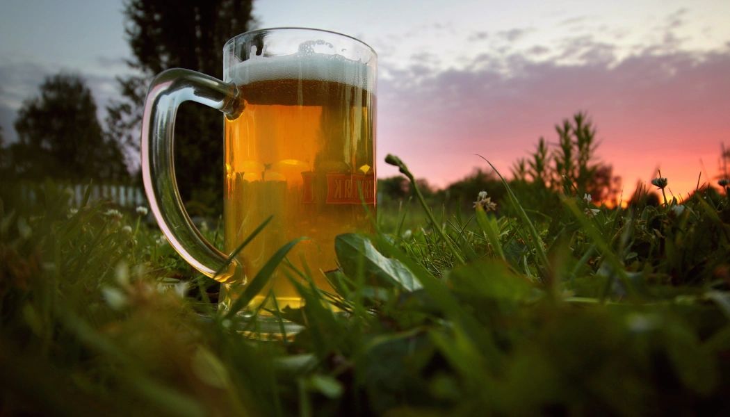 Beer stein glass, filled with beer on a grass field