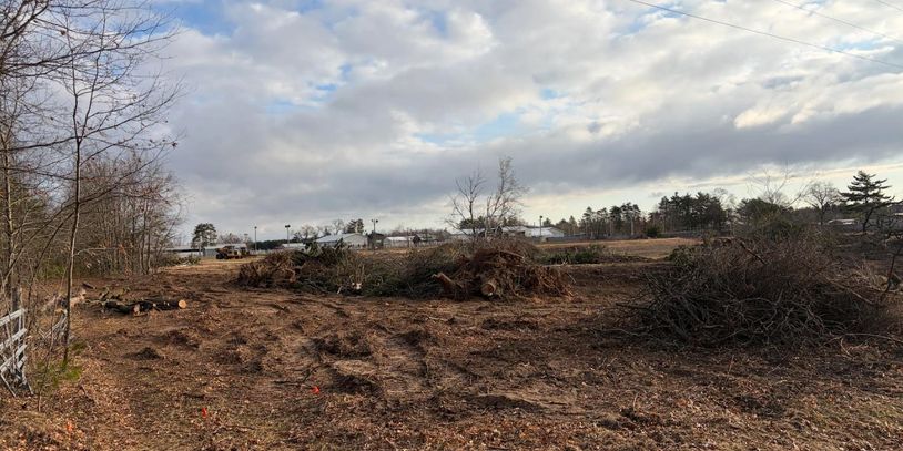 Cleared land with piles of branches and tree debris under a cloudy sky.