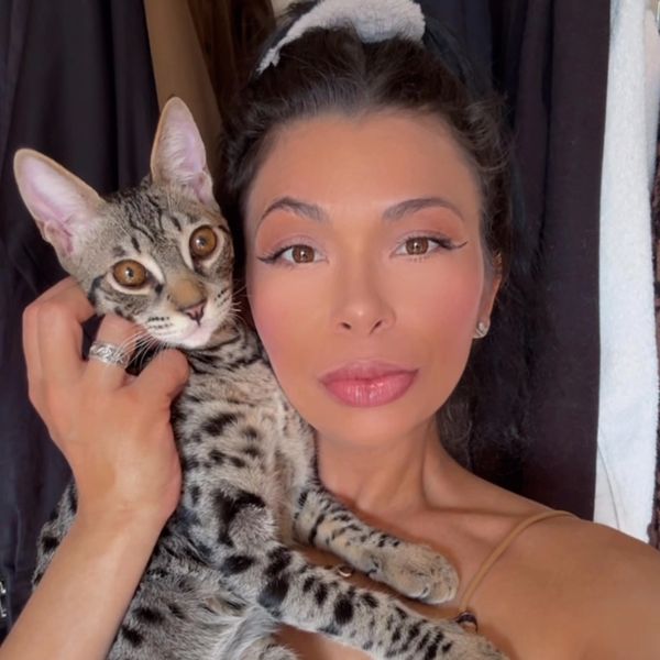 Savannah cats for sale in Las Vegas Miami Los Angeles Arizona LVhybrids LV hybrid cats exotics tica