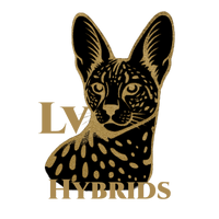 INTEND TO BREED EXCEPTIONAL AND HEALTHY SAVANNAH CATS