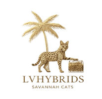 Savannah kittens & cats for sale