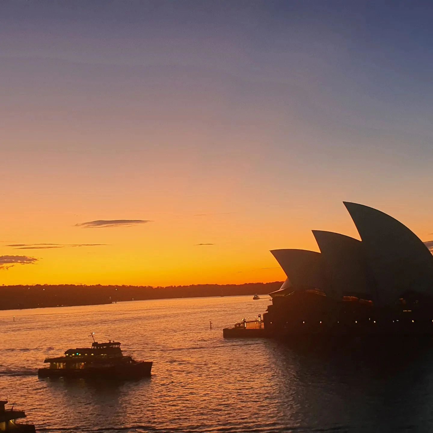 Sydney Opera house at dawn. 
