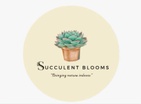 Succulent Arrangements & Giveaways