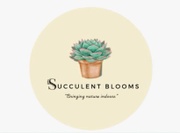 Succulent Arrangements & Giveaways