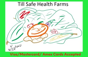 TILL SAFE HEALTH FARMS LLC
165 FARMSTEAD LN
ORANGEBURG,S.C. 29115