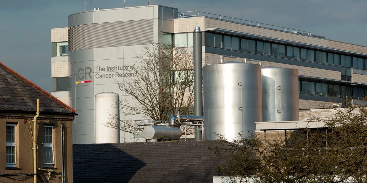 The Institute of Cancer Research 