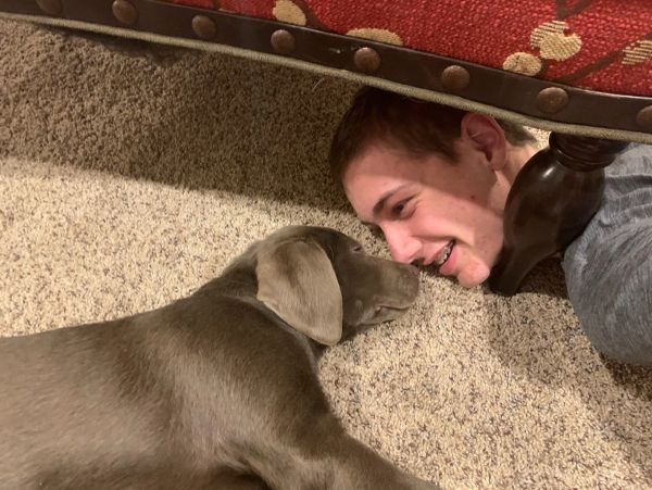 Boy and dog lying face to face on carpet.