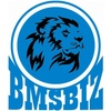 bmsbiz