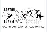 Love Pole Fitness and Aerial Arts