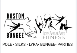 Love Pole Fitness and Aerial Arts