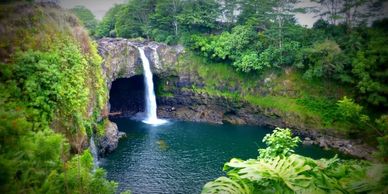 A serene waterfall flowing into a lush, green pool surrounded by dense forest.