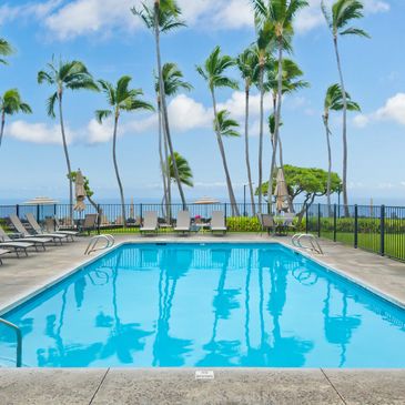 Outdoor pool surrounded by lounge chairs and palm trees under a blue sky.