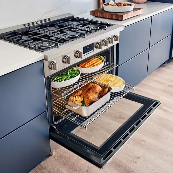 Bosch range gas dual fuel 