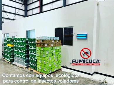 Lamparas moscas 
