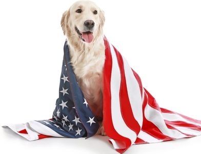 Vets with pets receive a 10 percent discount