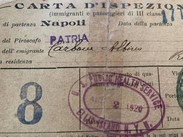 Document showing Italian immigration details from Napoli, 1920.