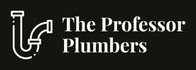 The Professor Plumbers