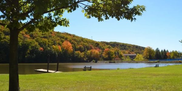 Serene lake with autumn trees and benches.