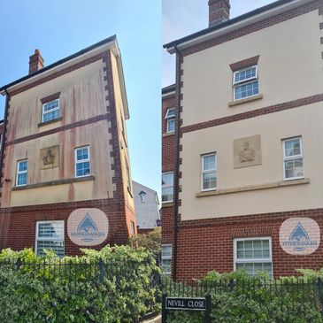 Biocide working on Render in Amesbury