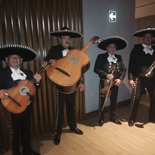 Diversidad de trajes
