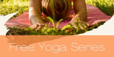 About Us Archives - The Yoga Plant
