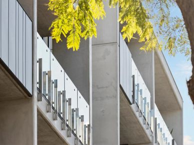 Modern building balconies with glass railings and tree branches in sunlight.