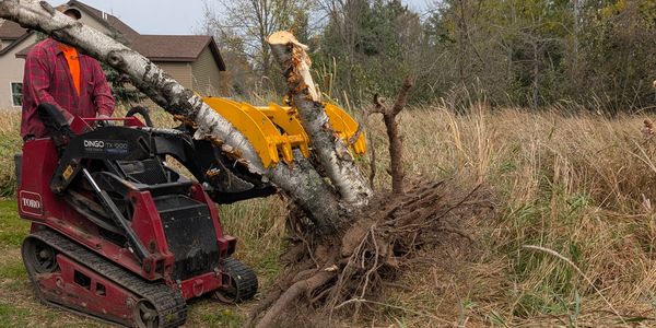 Machine removing a tree with roots from the ground in a grassy area.