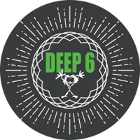 Deep 6: A Tribute to Pearl Jam