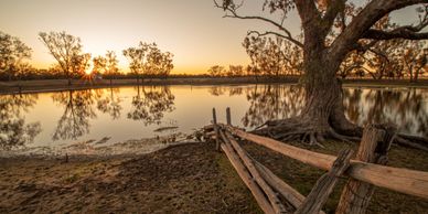 Camping Lightning Ridge
Self contained Lightning Ridge
Carinya Station 
Lightning Ridge