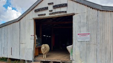 Lambert 
lightning Ridge
farm stay 
Tours
Carinya Station 
Lightning Ridge
camping lightning Ridge