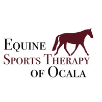 Equine Sports Therapy of Ocala 