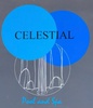 Celestial Pools and Spa
