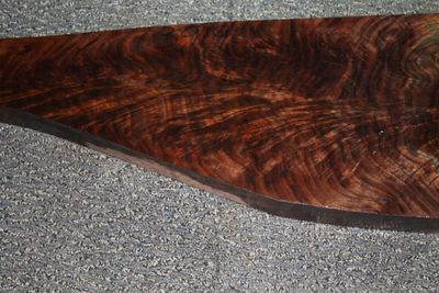 FEATHER CROTCH WALNUT BLANK