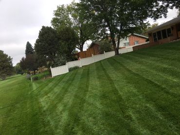Landscape Maintenance 