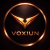 VOXIUN SYSTEM