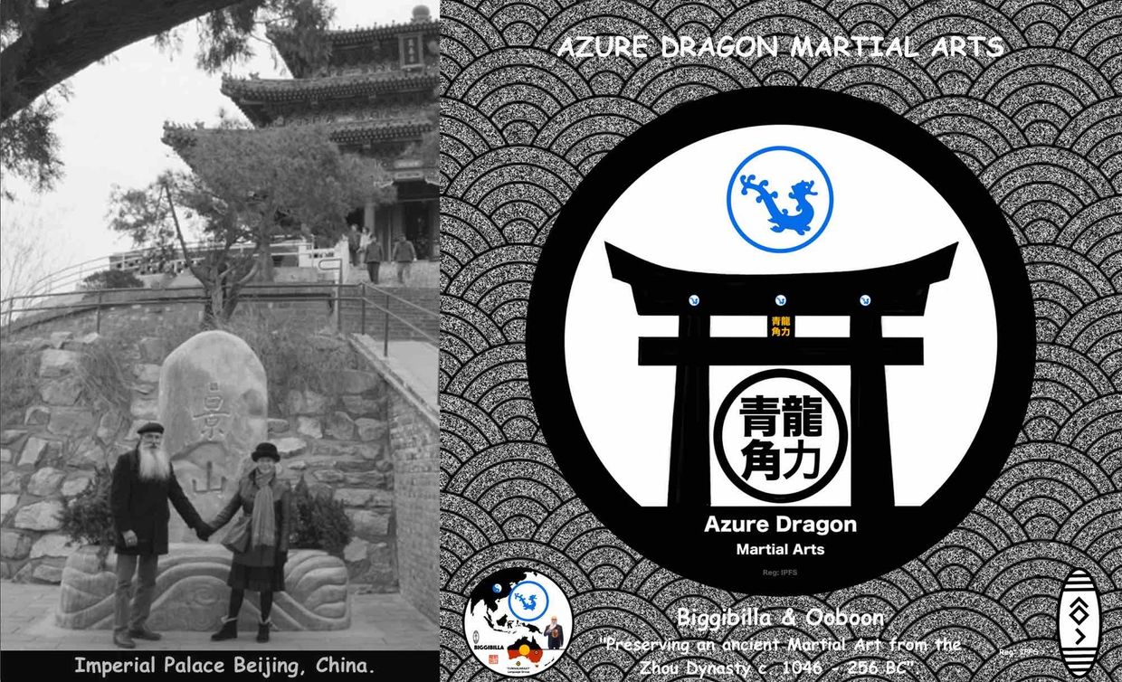 Azure Dragon Martial Arts: Principals -  
Ooboon (師長)  Shichō and Biggibilla (師範長) Shihan-chō.