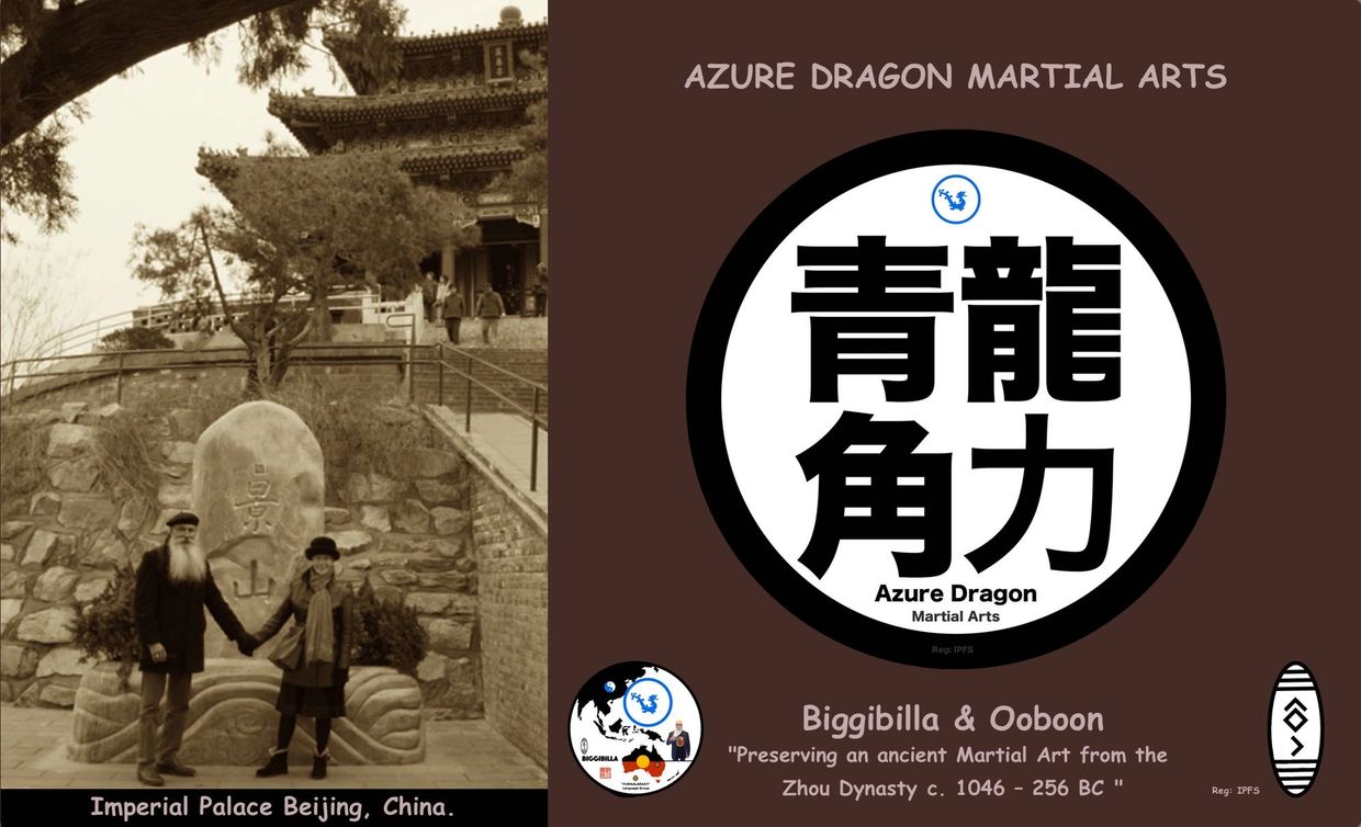 Azure Dragon Martial Arts: Principals -  
Ooboon (師長)  Shichō and Biggibilla (師範長) Shihan-chō.