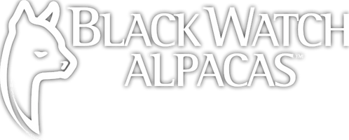 Black Watch Alpacas